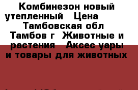 Комбинезон новый утепленный › Цена ­ 700 - Тамбовская обл., Тамбов г. Животные и растения » Аксесcуары и товары для животных   